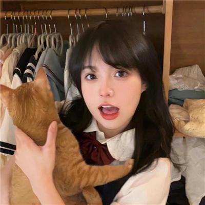 主妇狂想曲