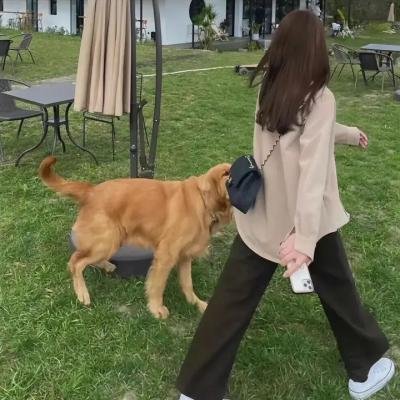 冒牌大状审死官